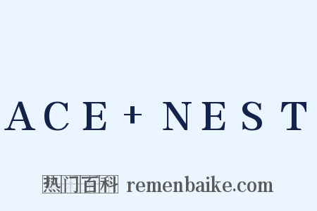 ACE+NEST是什么意思的图片